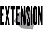 Extension